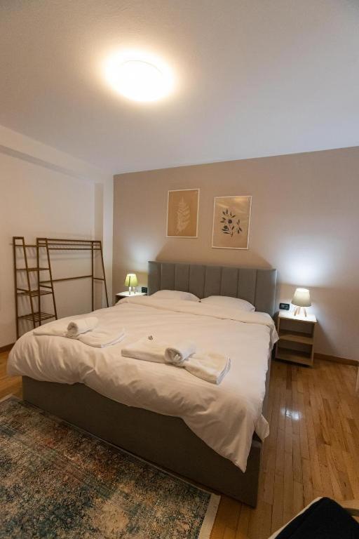 Light-2 Lovely Apartment In Tirana Buitenkant foto