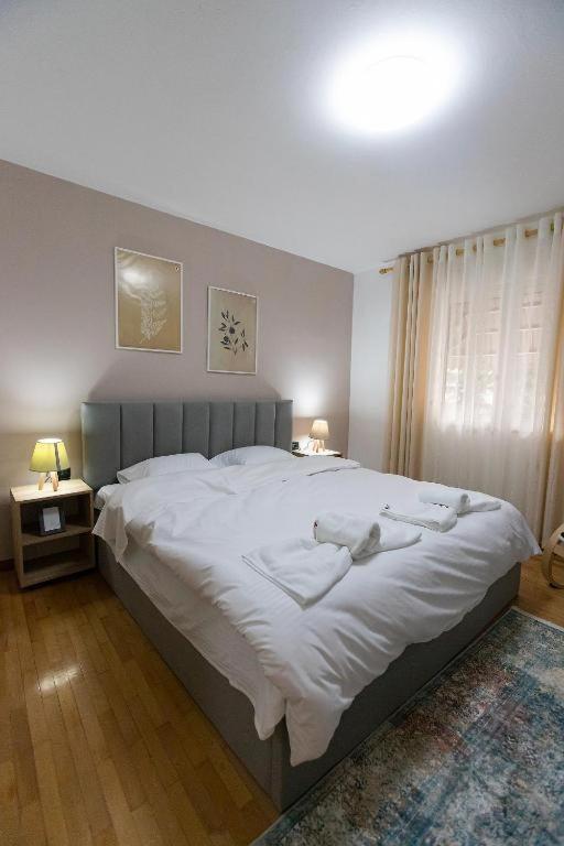 Light-2 Lovely Apartment In Tirana Buitenkant foto